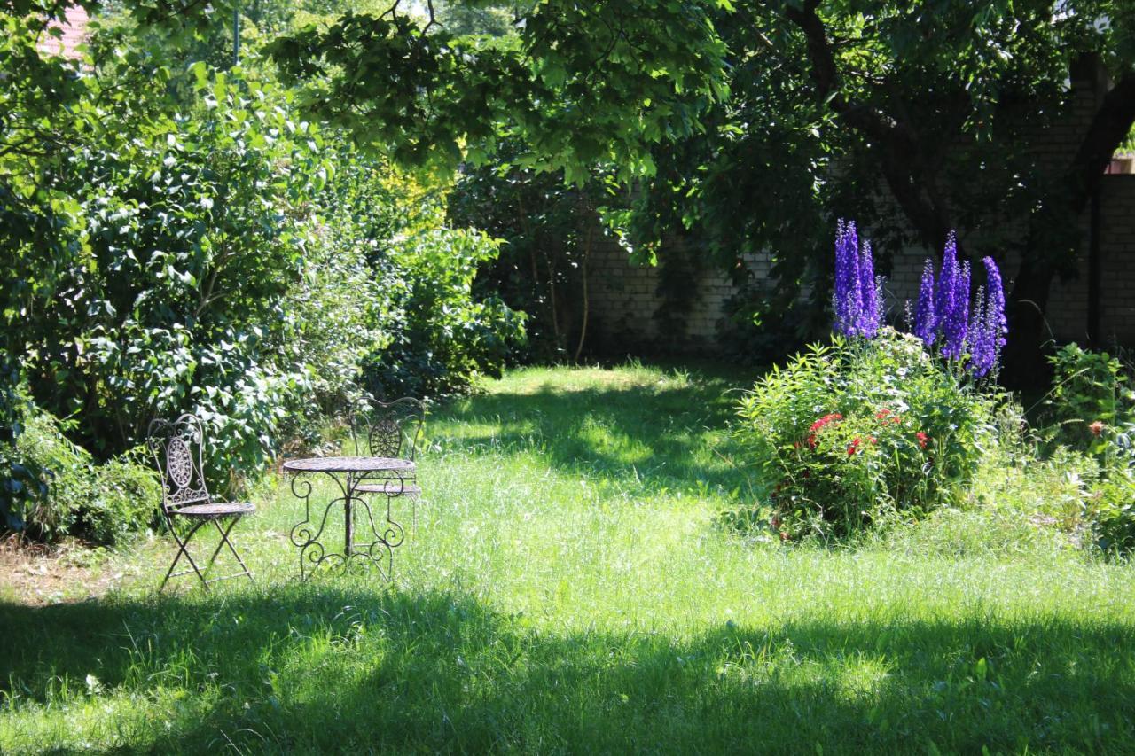 Ferienwohnung Am Weltnaturerbe Grumsin Ziehten Exterior photo